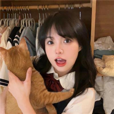 爱犬人士